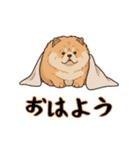 ふわもこチャウチャウ2（個別スタンプ：1）