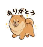 ふわもこチャウチャウ2（個別スタンプ：4）