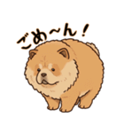 ふわもこチャウチャウ2（個別スタンプ：8）
