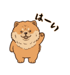 ふわもこチャウチャウ2（個別スタンプ：9）