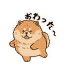 ふわもこチャウチャウ2（個別スタンプ：14）