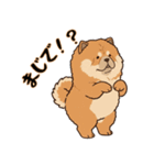 ふわもこチャウチャウ2（個別スタンプ：21）