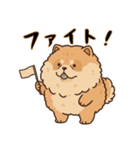 ふわもこチャウチャウ2（個別スタンプ：27）