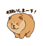 ふわもこチャウチャウ2（個別スタンプ：28）
