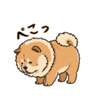 ふわもこチャウチャウ2（個別スタンプ：31）