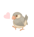 毎日・ずっと使える大人可愛い文鳥（個別スタンプ：2）