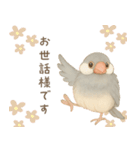 毎日・ずっと使える大人可愛い文鳥（個別スタンプ：3）