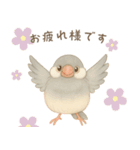 毎日・ずっと使える大人可愛い文鳥（個別スタンプ：4）
