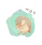 毎日・ずっと使える大人可愛い文鳥（個別スタンプ：6）