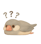 毎日・ずっと使える大人可愛い文鳥（個別スタンプ：9）