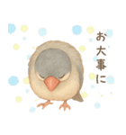 毎日・ずっと使える大人可愛い文鳥（個別スタンプ：11）