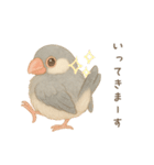 毎日・ずっと使える大人可愛い文鳥（個別スタンプ：12）