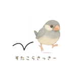 毎日・ずっと使える大人可愛い文鳥（個別スタンプ：14）
