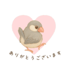 毎日・ずっと使える大人可愛い文鳥（個別スタンプ：16）