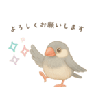 毎日・ずっと使える大人可愛い文鳥（個別スタンプ：18）