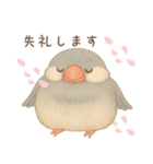 毎日・ずっと使える大人可愛い文鳥（個別スタンプ：19）