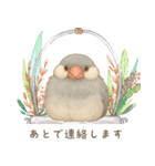毎日・ずっと使える大人可愛い文鳥（個別スタンプ：23）