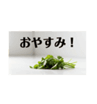 陽気なパクチー（個別スタンプ：7）