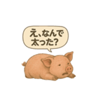 CS✨ブタスタ！！（個別スタンプ：1）