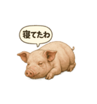 CS✨ブタスタ！！（個別スタンプ：7）