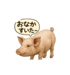 CS✨ブタスタ！！（個別スタンプ：11）