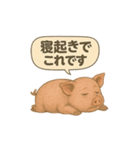 CS✨ブタスタ！！（個別スタンプ：16）