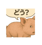 CS✨ブタスタ！！（個別スタンプ：20）