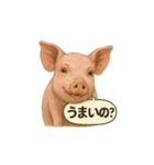 CS✨ブタスタ！！（個別スタンプ：32）