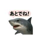 CS✨サメスタ！！（個別スタンプ：4）