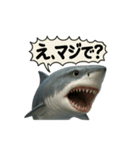 CS✨サメスタ！！（個別スタンプ：6）