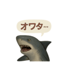 CS✨サメスタ！！（個別スタンプ：9）