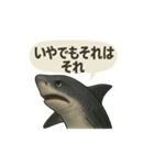 CS✨サメスタ！！（個別スタンプ：11）