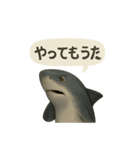 CS✨サメスタ！！（個別スタンプ：14）