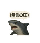 CS✨サメスタ！！（個別スタンプ：16）