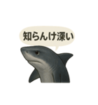 CS✨サメスタ！！（個別スタンプ：17）
