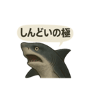 CS✨サメスタ！！（個別スタンプ：18）