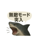 CS✨サメスタ！！（個別スタンプ：21）
