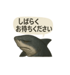 CS✨サメスタ！！（個別スタンプ：22）