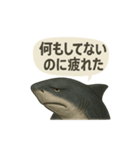 CS✨サメスタ！！（個別スタンプ：24）