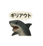 CS✨サメスタ！！（個別スタンプ：26）