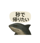CS✨サメスタ！！（個別スタンプ：27）
