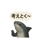 CS✨サメスタ！！（個別スタンプ：28）