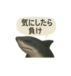 CS✨サメスタ！！（個別スタンプ：35）