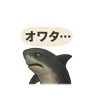 CS✨サメスタ！！（個別スタンプ：36）