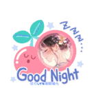oirann六（個別スタンプ：8）