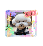 モフモフの世界（個別スタンプ：32）