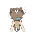 ミントロ（個別スタンプ：20）