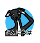 【ブラック4】1年中使えるイタグレスタンプ（個別スタンプ：2）