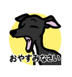 【ブラック4】1年中使えるイタグレスタンプ（個別スタンプ：4）