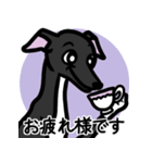 【ブラック4】1年中使えるイタグレスタンプ（個別スタンプ：8）